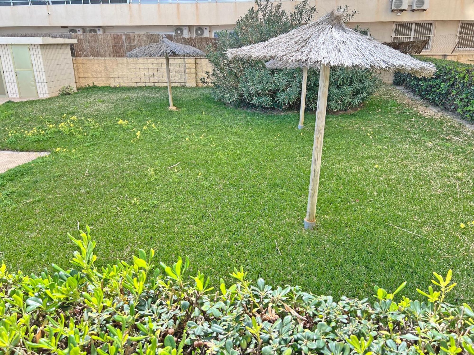 Oasis Frente Al Mar. Parking Gratis Daire El Campello Dış mekan fotoğraf
