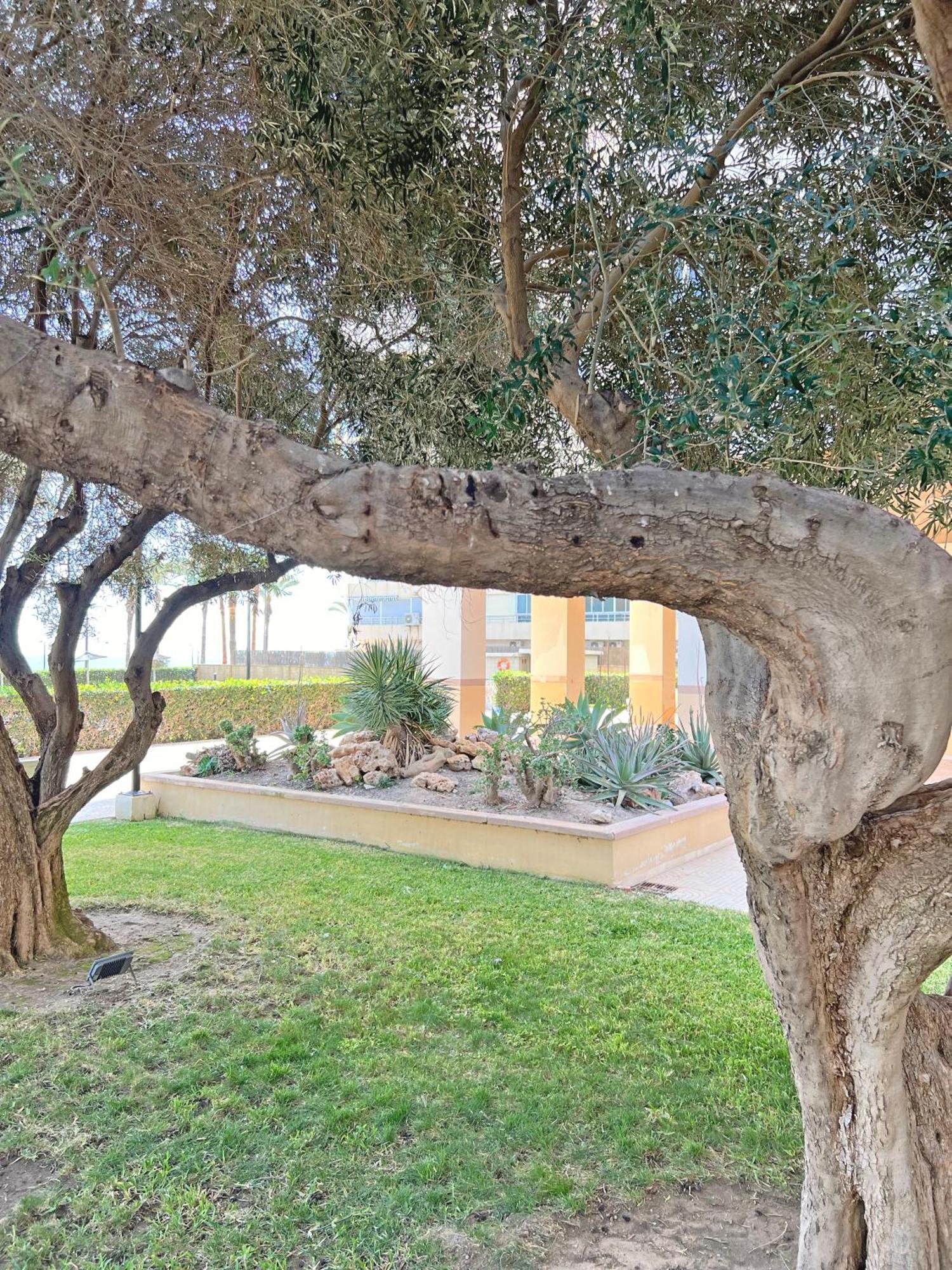 Oasis Frente Al Mar. Parking Gratis Daire El Campello Dış mekan fotoğraf